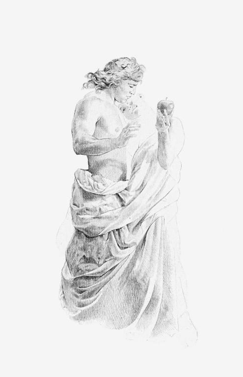 Alma